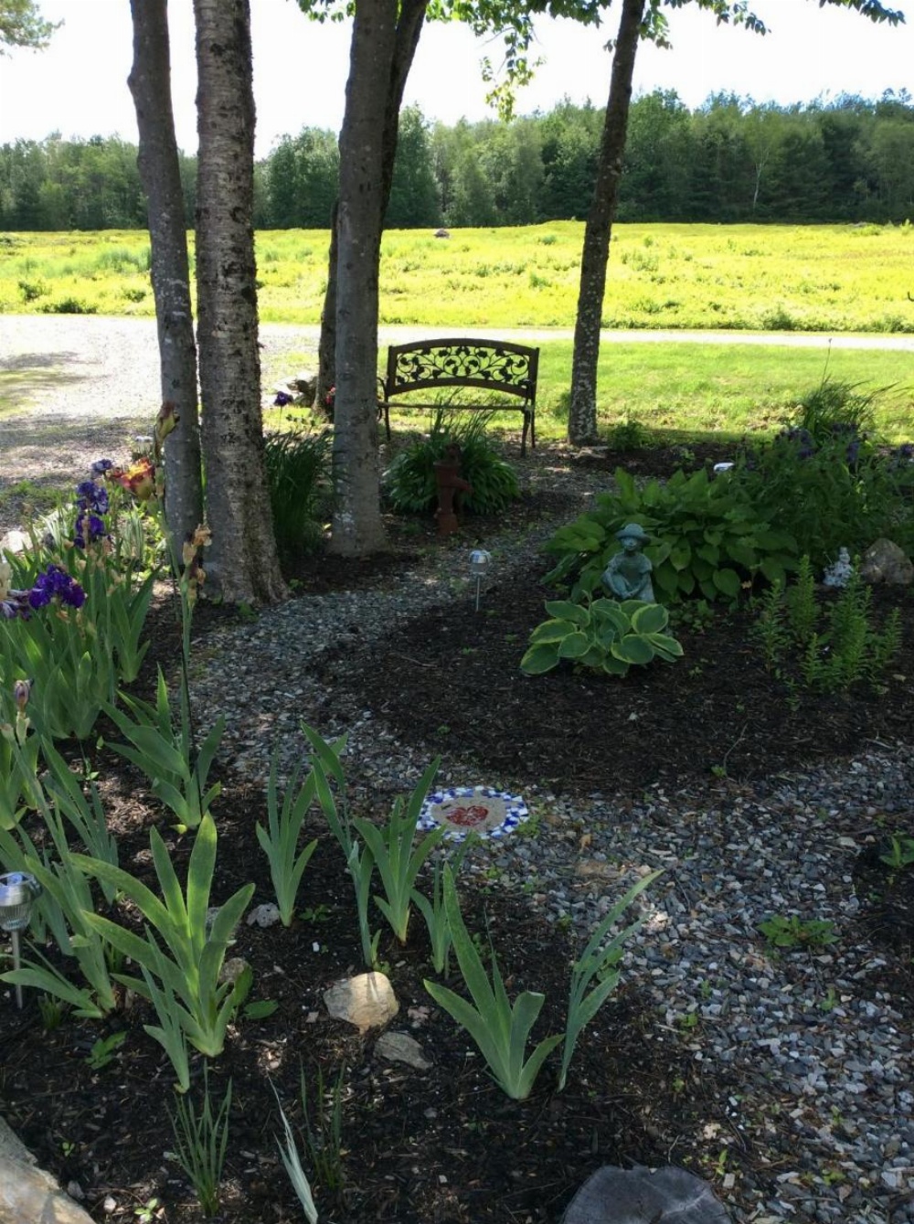 Blueberry Fields Bed & Breakfast Image 12