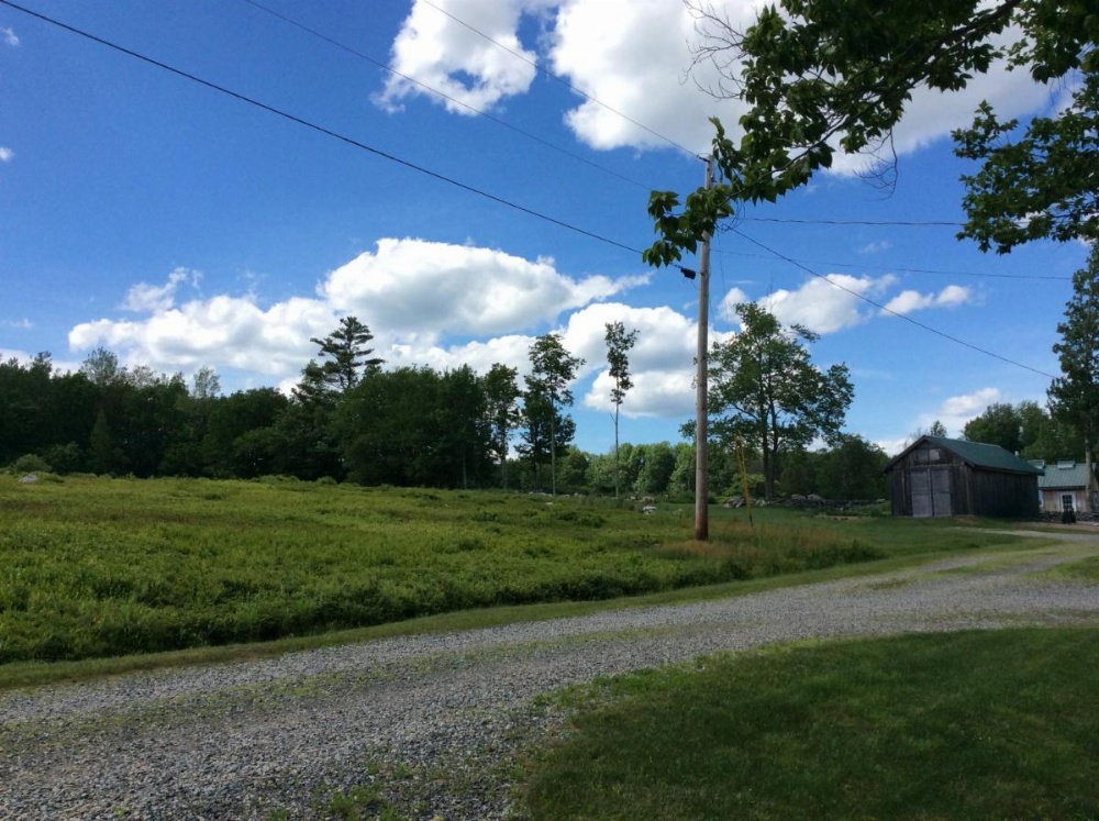 Blueberry Fields Bed & Breakfast Image 13