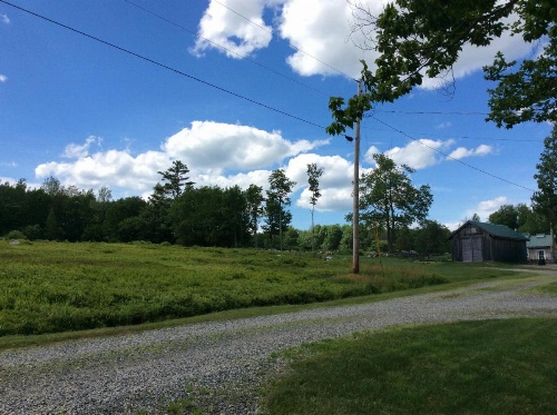 Blueberry Fields Bed & Breakfast image 13
