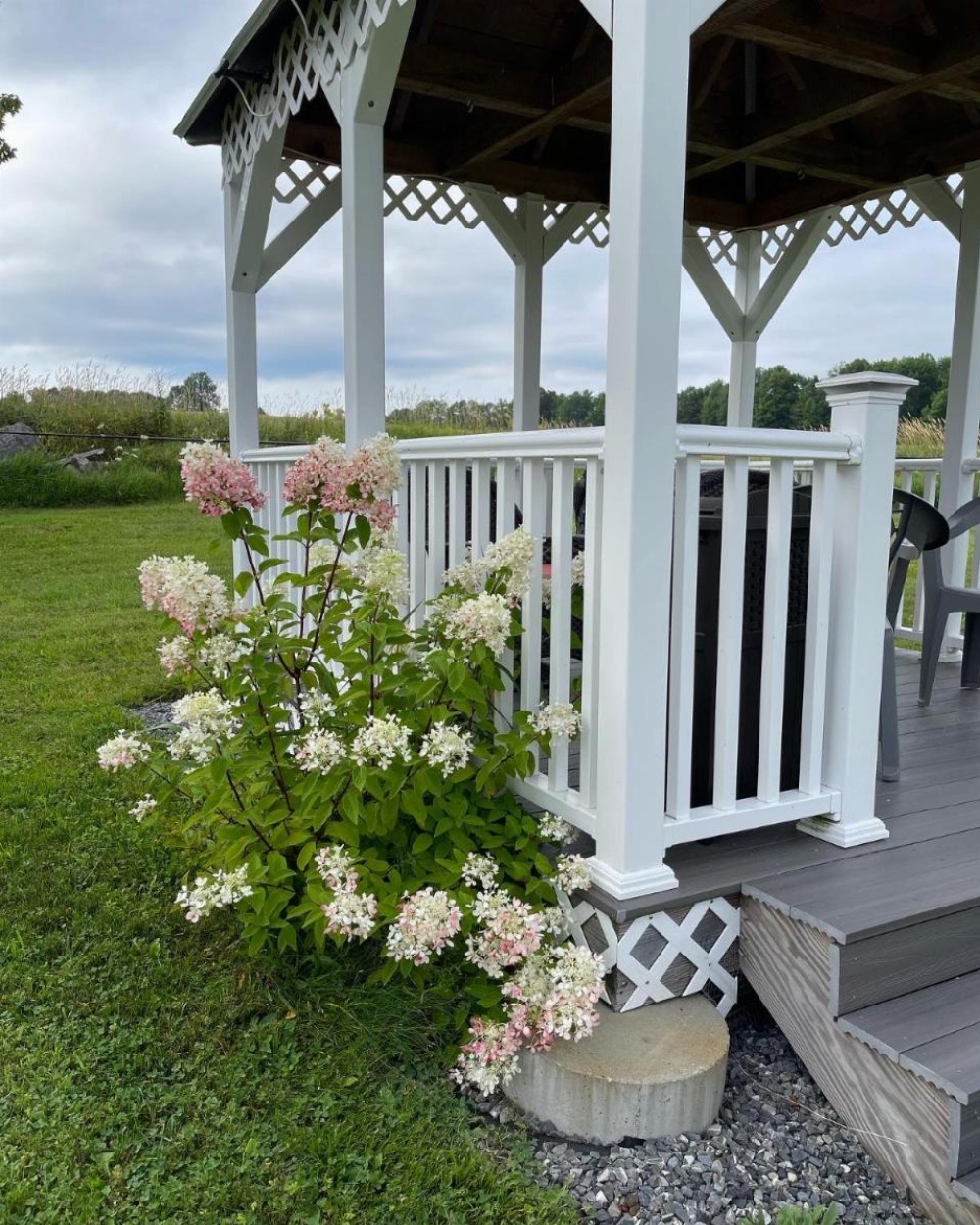 Blueberry Fields Bed & Breakfast Image 34