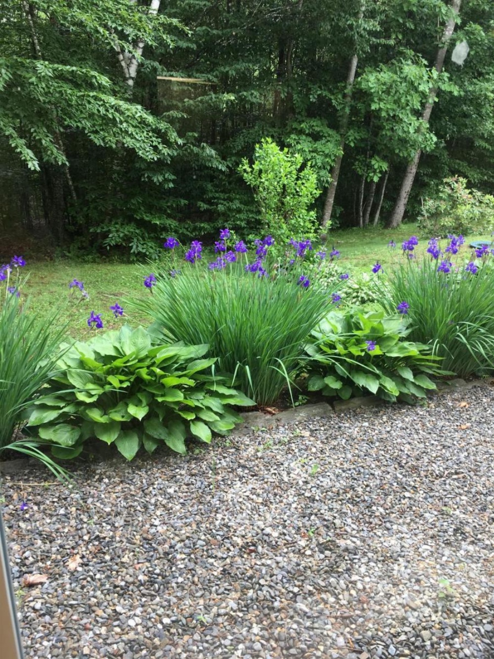 Blueberry Fields Bed & Breakfast Image 7